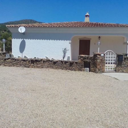 Bed and Breakfast Sa Tanca De Su Mare Budoni Exterior foto